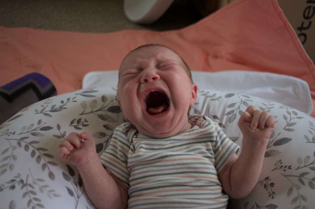 The Dora Days of&nbsp;Summer