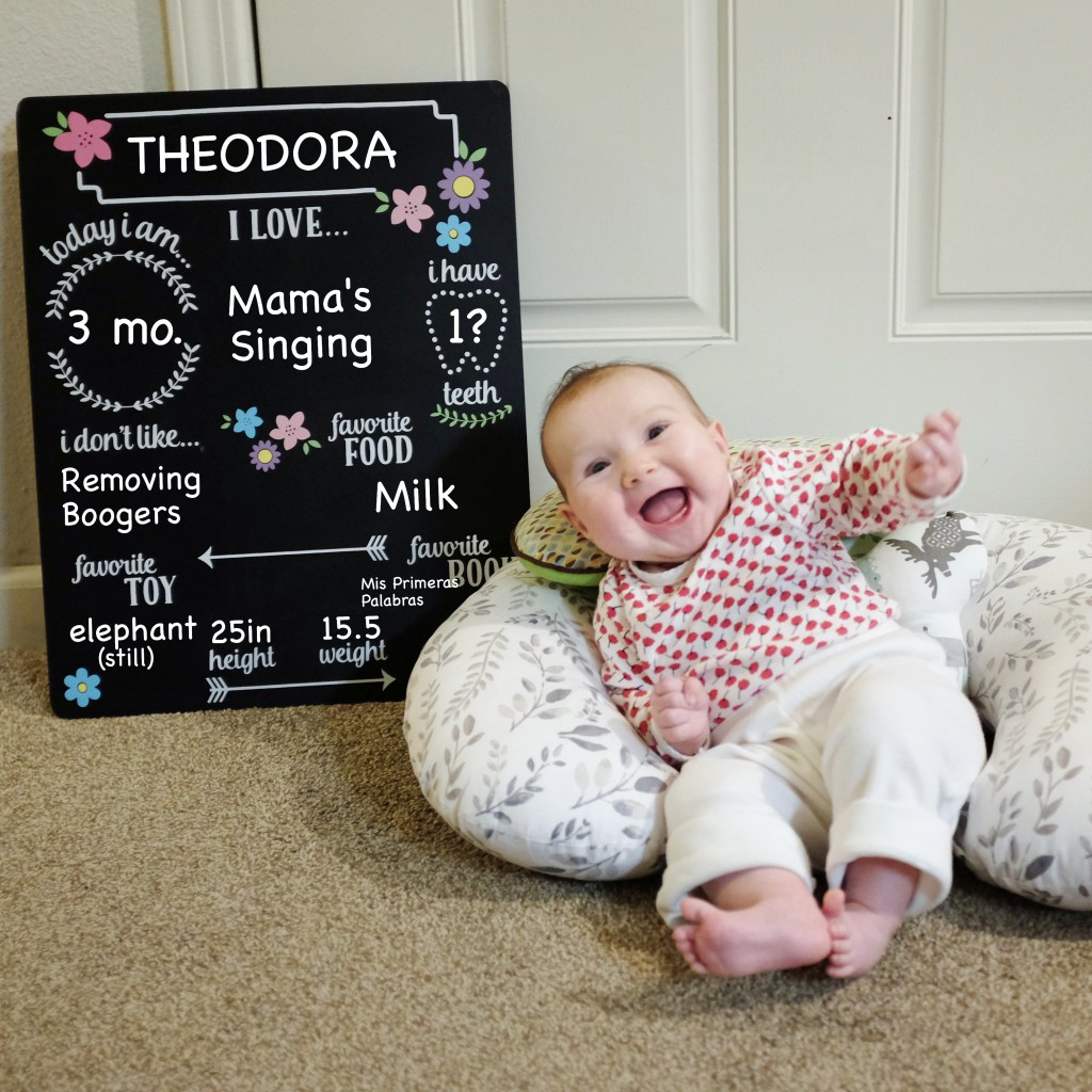 3 Months (+ 2&nbsp;weeks)